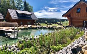 Naturstammhaus Und Appartements Zum Brockenbaecker